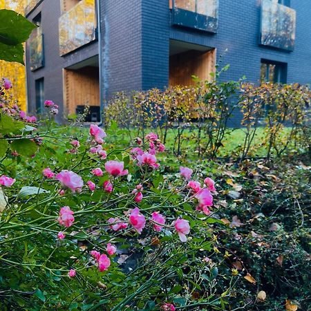 Apartament Magia Puszczy Z Widokiem Na Puszcze Bialowieska Hajnówka Eksteriør bilde