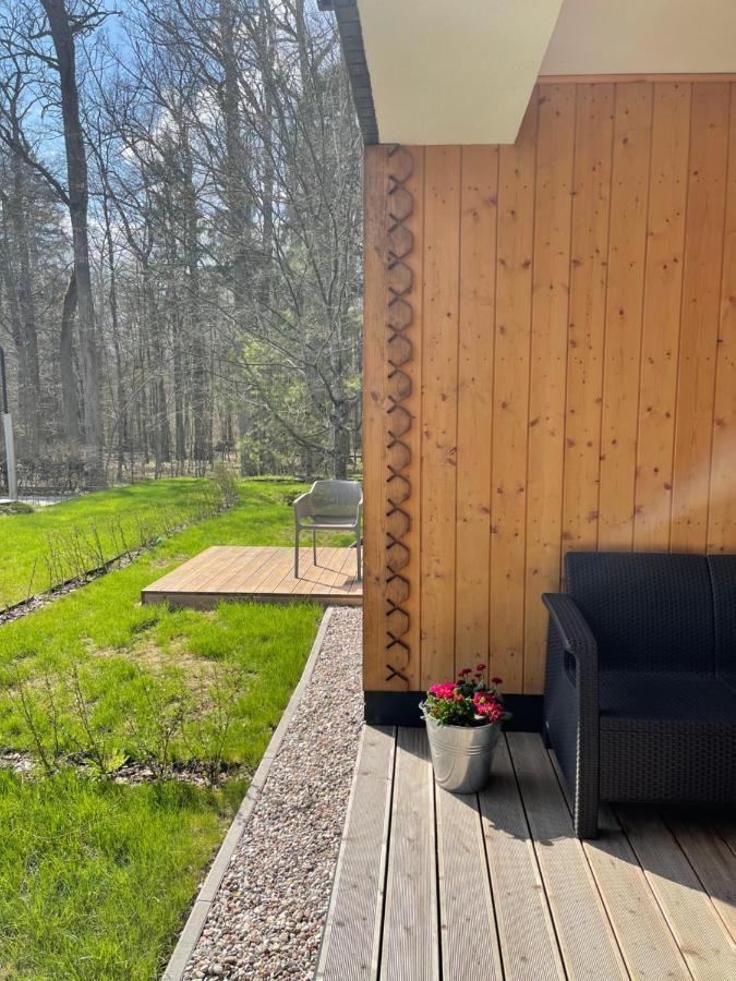 Apartament Magia Puszczy Z Widokiem Na Puszcze Bialowieska Hajnówka Eksteriør bilde
